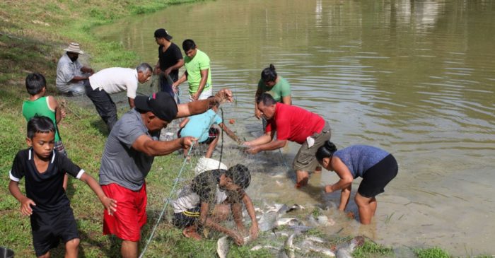 Pobladores de Coclesito y Omar Torrijos se benefician con la cría y engorde de peces.