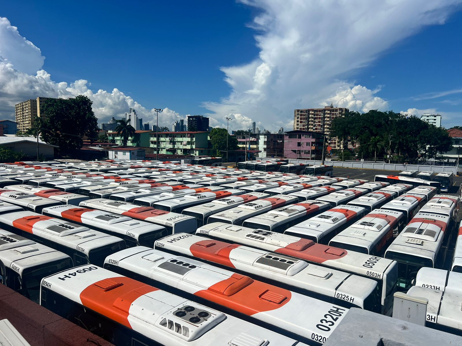 Nueva Administración en MiBus: Prometen Mejoras en el Transporte Público de Panamá.