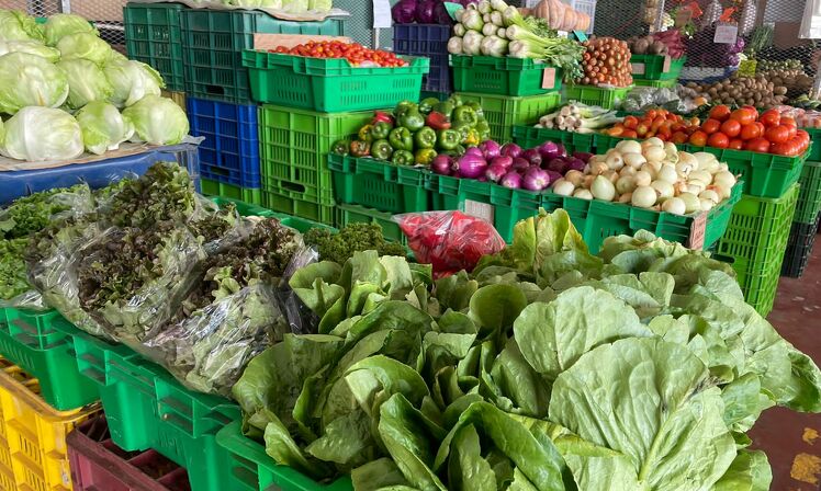 Incremento de precios en productos agrícolas en Merca Panamá.