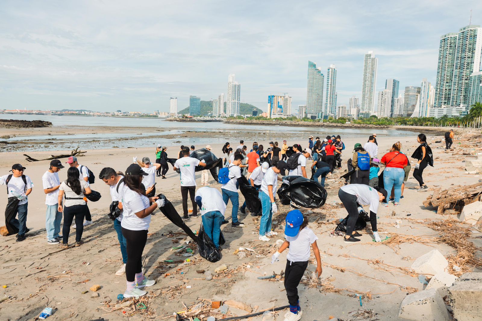 Alcaldía de Panamá recoge 4 toneladas de basura en la Cinta Costera 1.