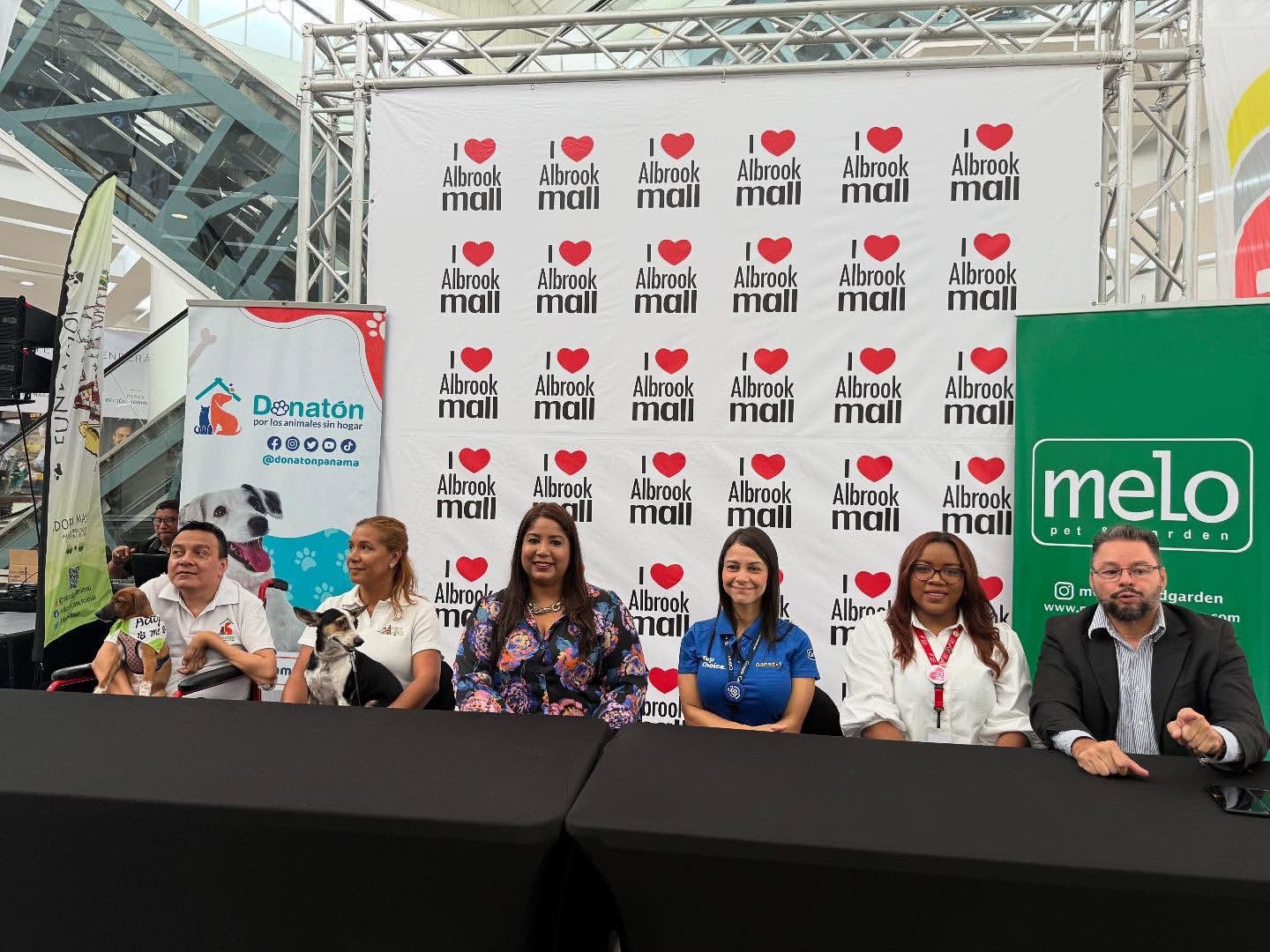 Mas de 500 animales sin hogar se esterilizarán con lo que se recaude en la Carrera-Caminata Donatón 2025.