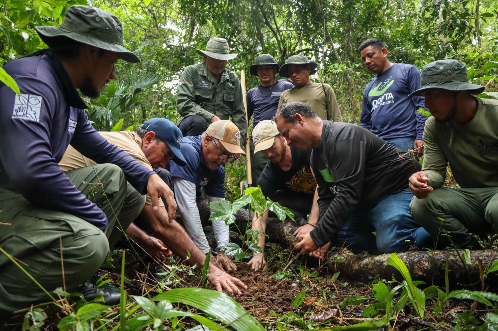 MiAmbiente reforesta 1,550 hectáreas a nivel nacional como parte de su campaña 2025