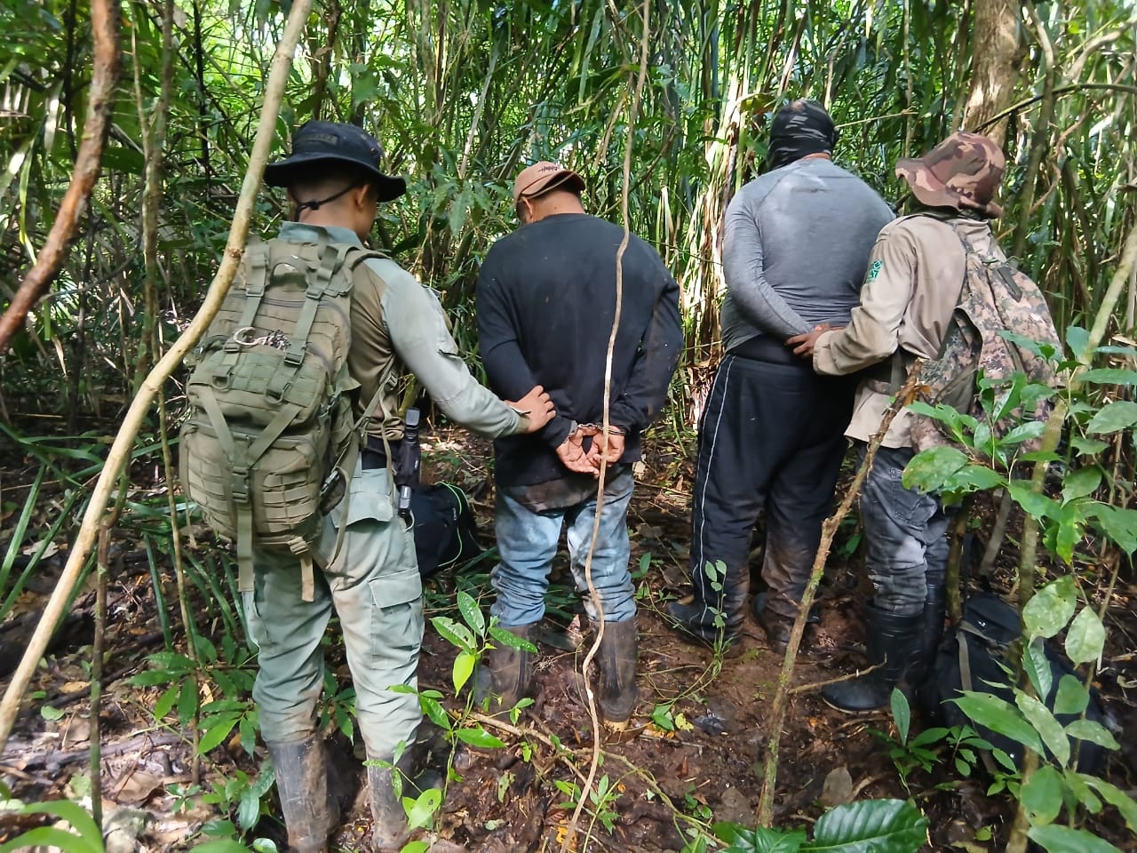 Operación “Vida Silvestre” deja resultados relevantes en Coclé y Panamá Oeste
