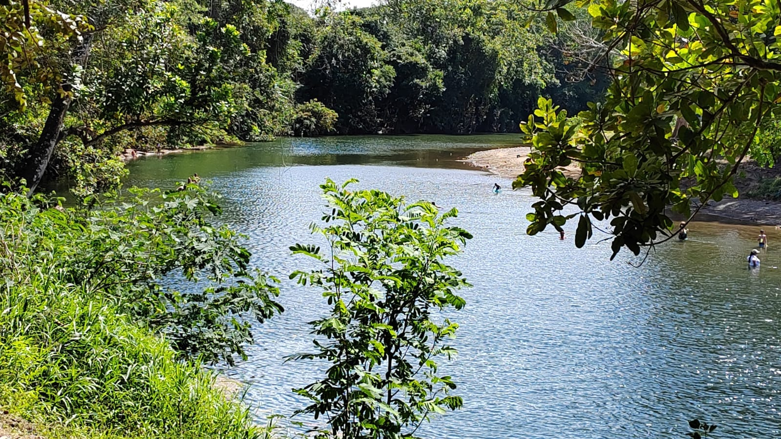 Alerta Científica: Bebés en Azuero nacen con metales pesados en la sangre.