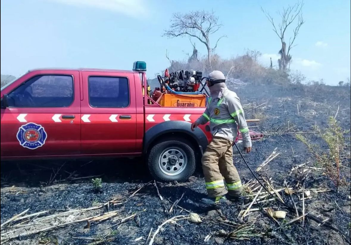 Más de 2,000 incendios de masa vegetal en lo que va del año
