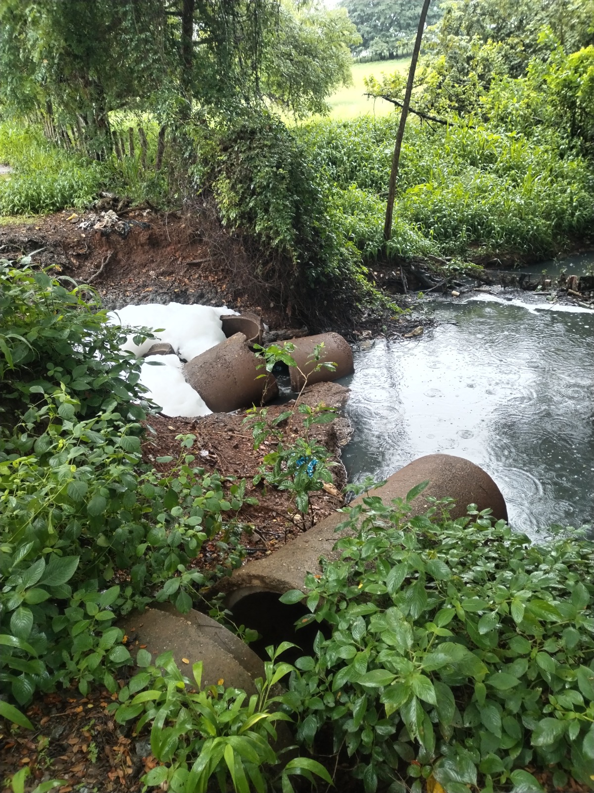 Defensoría del Pueblo abre investigación por posible contaminación en Río Parita